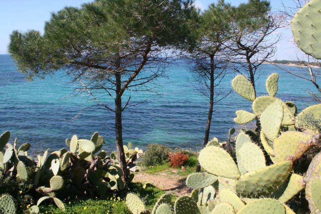 Gangdigiorgia Villa Capitana Dış mekan fotoğraf